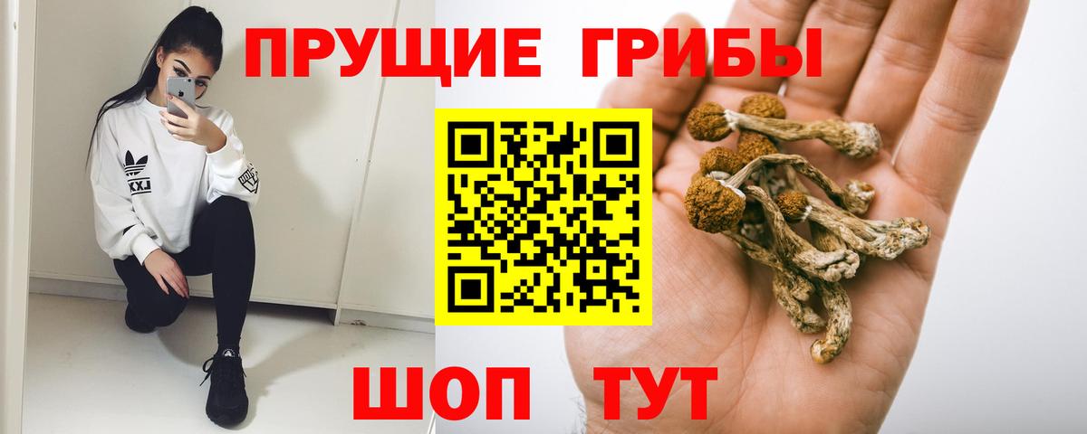 Псилоцибиновые грибы Cubensis  наркошоп  Вход с VPN  Рыбинск  Псилоцибиновые грибы Magic Shrooms 